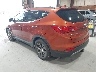 5XYZUDLB1FG****** Salvamento y Reparables 2015 Hyundai Santa Fe en Newburgh