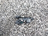 1C4PJMDS3FW****** Destrozados 2015 Jeep Cherokee en Estado de Carolina del Sur