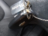 1GNEVHKW8KJ****** Salvage 2019 Chevrolet Traverse in Minnesota State