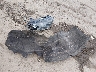 1GCGTBEN6L1****** Wrecked 2020 Chevrolet Colorado in West Virginia State