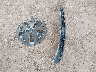 5YJ3E1EA0PF****** Destrozados 2023 Tesla Model 3 en Estado de Arizona