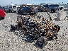3NSNAE996LH****** Salvage and Wrecked 2020 Polaris RZR in Appleton