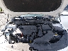 5XXGU4L32JG****** Repairable 2018 Kia Optima in Bowling Green