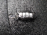 JN1CV6AR7DM****** Salvage 2013 Infiniti G37x in Maine State