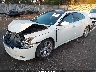 1N4AA5AP9EC****** Used and Repairable 2014 Nissan Maxima in Southern New Jersey