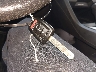 2HGFC2F68KH****** Salvamento 2019 Honda Civic en Estado de Michigan