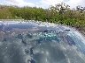 1C6RRFFG1NN****** Repairable 2022 RAM 1500