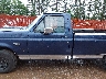 1FTDF15Y8SL****** Salvamento 1995 Ford F-150
