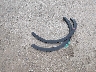 1FMCU0G65NU****** Wrecked 2022 Ford Escape in Kansas State