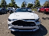 1FA6P8TH0K5****** Destrozados 2019 Ford Mustang en Estado de Nueva Jersey