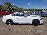 1FA6P8TH0K5****** Usados 2019 Ford Mustang en Estado de Nueva Jersey