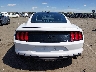 1FA6P8TH0K5****** Destrozados 2019 Ford Mustang