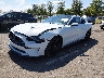 1FA6P8TH0K5****** Usados y Reparables 2019 Ford Mustang en Englishtown