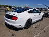1FA6P8TH0K5****** Salvamento y Destrozados 2019 Ford Mustang en Estado de Nueva Jersey