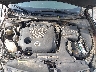 1N4AA5AP4EC****** Repairable 2014 Nissan Maxima in Gulf Coast