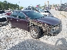1N4AA5AP4EC****** Salvage and Wrecked 2014 Nissan Maxima in Gulf Coast