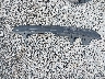 5XYZKDAG2BG****** Wrecked 2011 Hyundai Santa Fe in Washington State