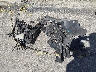 KL4CJESB7JB****** Wrecked 2018 Buick Encore in Maine State