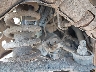 4XARSE99XS8****** Wrecked 2025 Polaris Ranger in Rec Rides Online Exclusive