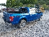 1FTEW1EF4HF****** Salvamento y Destrozados 2017 Ford F-150 en Estado de Kentucky