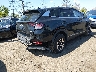 KNDPUCDF6R7****** Salvage and Wrecked 2024 Kia Sportage in New Jersey State