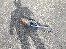 4T1C11AK1NU****** Wrecked 2022 Toyota Camry in Oregon State