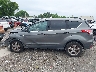 1FMCU9G90EU****** Salvamento 2014 Ford Escape