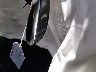 JF2GTANC0K8****** Salvamento 2019 Subaru Crosstrek en Estado de Colorado