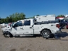 1FTFW1EF7CF****** Salvage 2012 Ford F-150