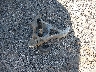 1C6RR6LTXKS****** Destrozados 2019 RAM 1500 en Estado de Oklahoma