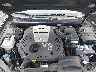 5NPEU46F37H****** Reparables 2007 Hyundai Sonata en Greenville