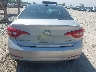 5NPE34AFXGH****** Wrecked 2016 Hyundai Sonata