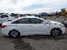 5NPEB4AC9DH****** Used 2013 Hyundai Sonata in Colorado State