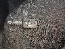 ML32AUHJ7PH****** Salvage 2023 Mitsubishi Mirage in South Carolina State