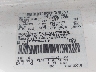 1FTZF1721WK****** Usados 1998 Ford F-150 en Eugene