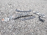 1C6RR6FT7JS****** Wrecked 2018 RAM 1500 in Arkansas State