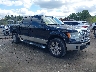 1FTPW14V29K****** Salvamento y Destrozados 2009 Ford F-150 en Boston Shirley