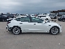 5YJ3E1EA2PF****** Repairable 2023 Tesla Model 3 in Texas State