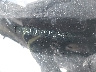 3PCAJ5JR9PF****** Usados 2023 Infiniti QX55 en San Antonio South