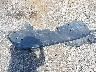 4T1B11HKXJU****** Wrecked 2018 Toyota Camry in South Carolina State