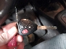 JTDJT903395****** Salvage 2009 Toyota Yaris in South Dakota State