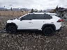 2T3J1RFVXLC****** Reparables 2020 Toyota RAV4 en Estado de Nevada