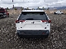 2T3J1RFVXLC****** Destrozados 2020 Toyota RAV4