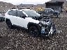 2T3J1RFVXLC****** Salvamento y Destrozados 2020 Toyota RAV4 en Reno