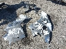 ZDMDAGNW8JB****** Wrecked 2018 Ducati Panigale V4 / Panigale V4S / Panigale V4 Speciale in California State