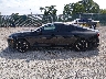 5XXG64J24NG****** Repairable 2022 Kia K5 in Kentucky State