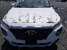 5NMS2CAD2LH****** Salvamento y Reparables 2020 Hyundai Santa Fe en Estado de Nevada