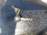 JKAERKD17KD****** Salvage 2019 Kawasaki Z400 in New Hampshire State