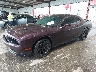 2C3CDZAG8LH****** Usados y Reparables 2020 Dodge Challenger en Austin North
