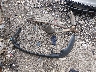 1FM5K7B88HG****** Wrecked 2017 Ford Explorer in Arkansas State